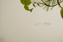 Dogwood and Pine Cone and Tassel