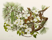 Dogwood and Pine Cone and Tassel