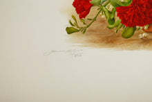 Mistletoe and Scarlet Carnation