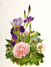 Peony and Iris