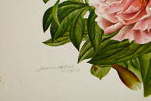 Peony and Iris