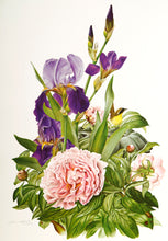 Peony and Iris