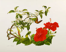 Red Hibiscus and Orange Blossoms