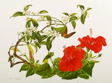 Red Hibiscus and Orange Blossoms