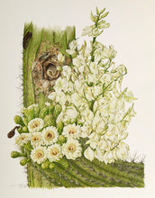 Saguaro Cactus Flower and Yucca