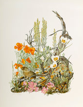 Sego Lily, Sagebrush and The Golden Poppy