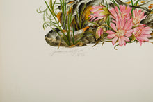 Sego Lily, Sagebrush and The Golden Poppy