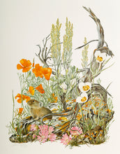 Sego Lily, Sagebrush and The Golden Poppy