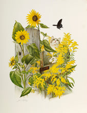 Sunflower and Goldenrod