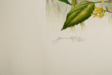Sunflower and Goldenrod