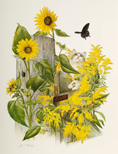 Sunflower and Goldenrod