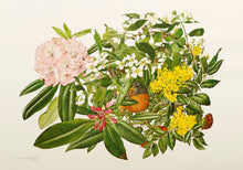 Syringa, Oregon-Grape and Pacific Rhododendron