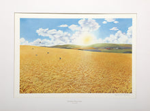 For Amber Waves of Grain