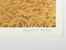 For Amber Waves of Grain