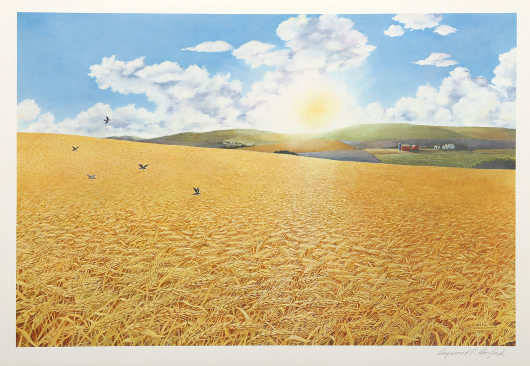 For Amber Waves of Grain