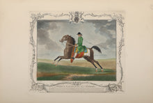 Childers the Fleetest Horse That ever run at Newmarket