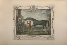 The Portrait of Babraham