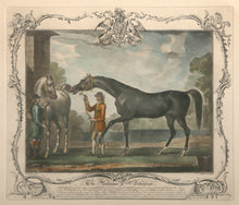 The Portrait of Babraham