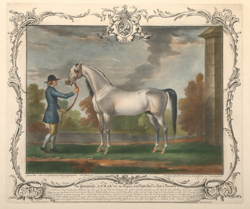 The Portrait of Crab