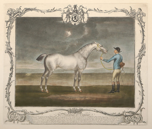 The Portrait of Lamprey (BLUE)