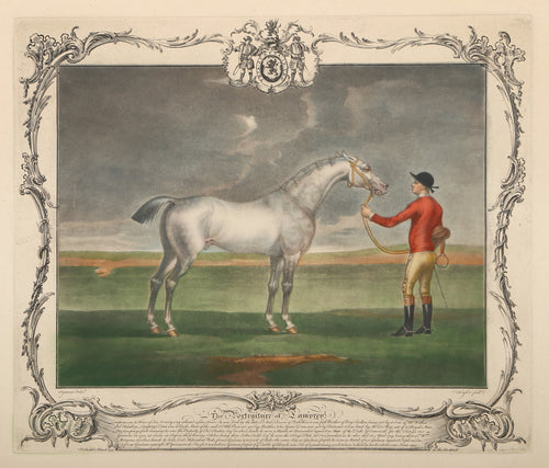 The Portrait of Lamprey (RED)