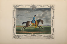 The Portraiture of the famous Horse Old Partner