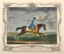 The Portraiture of the famous Horse Old Partner