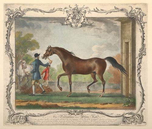 The Portraiture of White Nose