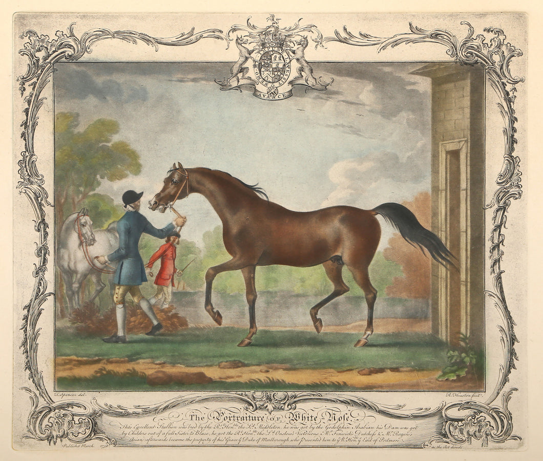 The Portraiture of White Nose