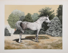 Arabian