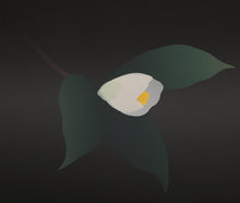 Camellia Slant