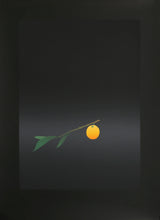 Fruit Dori