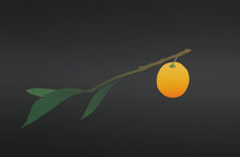 Fruit Dori