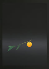 Fruit Dori