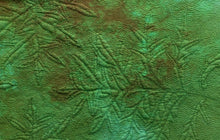 Prairie Leaf #1