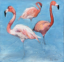 First Flamingos of NY