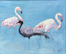 First Flamingos of NY