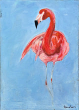 First Flamingos of NY