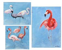 First Flamingos of NY