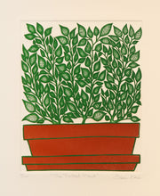 The Potted Plant