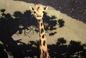 Giraffe in Space