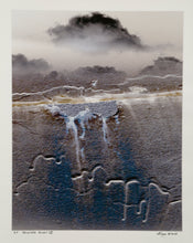 Painted Glory IV