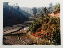 Thai Landscape VII
