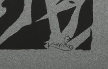 Bílé rytmy na černém