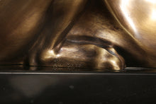 Panthère à l'affût