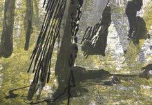 Woods Walk