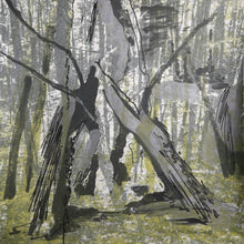 Woods Walk