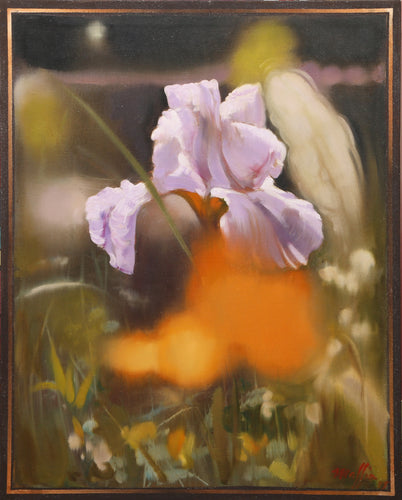 Pink Iris