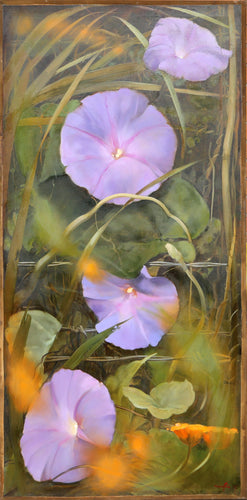 Pink Nasturtiums