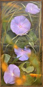 Pink Nasturtiums